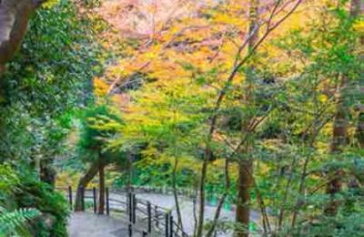 Abhinandan Lodha Vrindavan